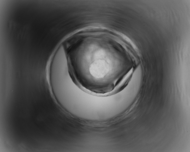 X0000087621342200705181306