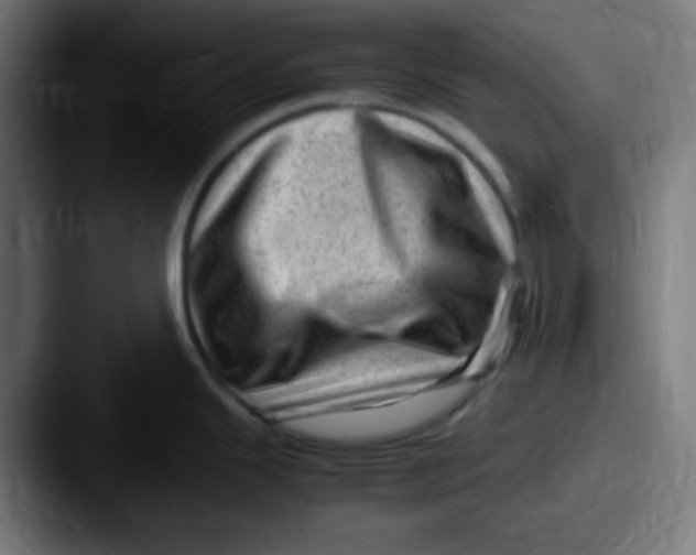 X0000087621343200705181306