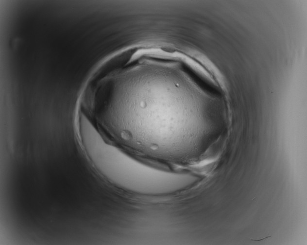 X0000087621344200705181306