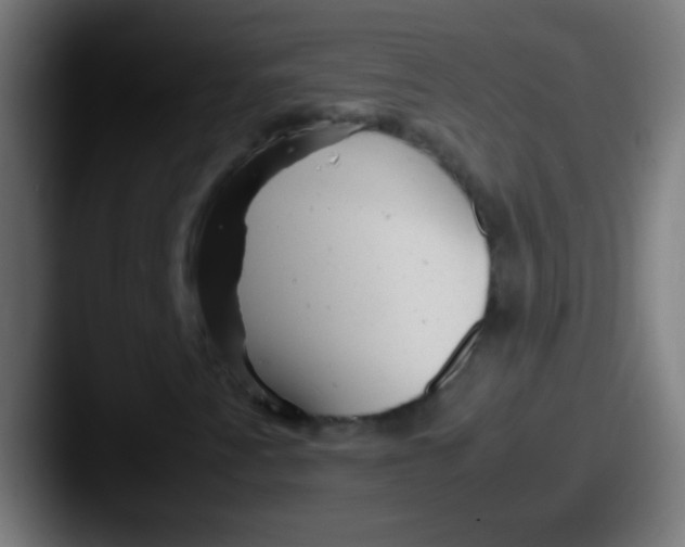 X0000087621345200705181306