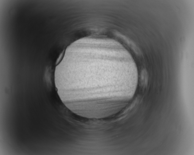X0000087621346200705181306