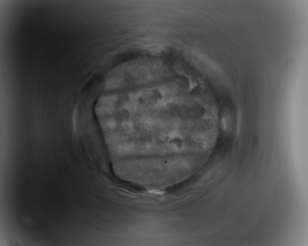 X0000087621347200705181306