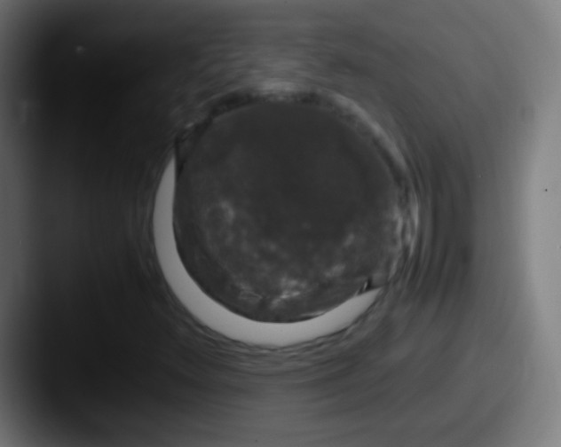 X0000087621348200705181306