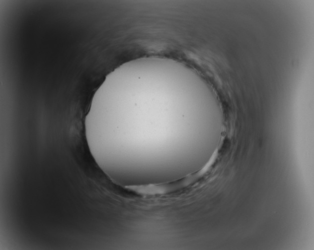 X0000087621349200705181306