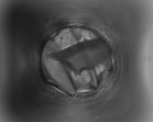 X0000087621351200705181305
