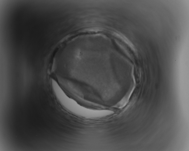 X0000087621352200705181305