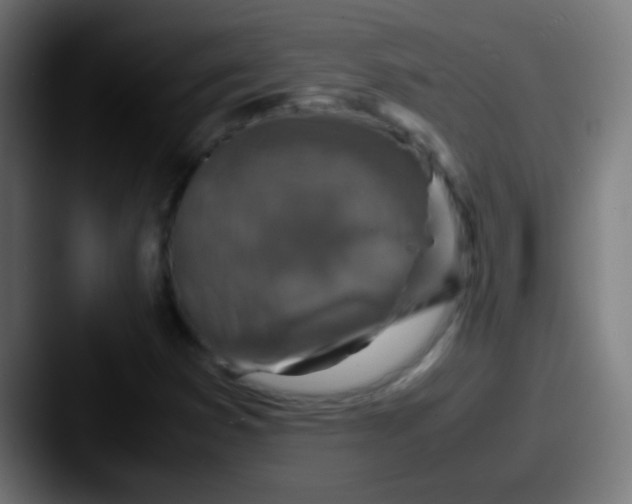 X0000087621353200705181305