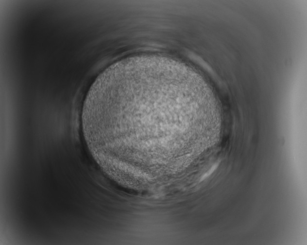 X0000087621355200705181305