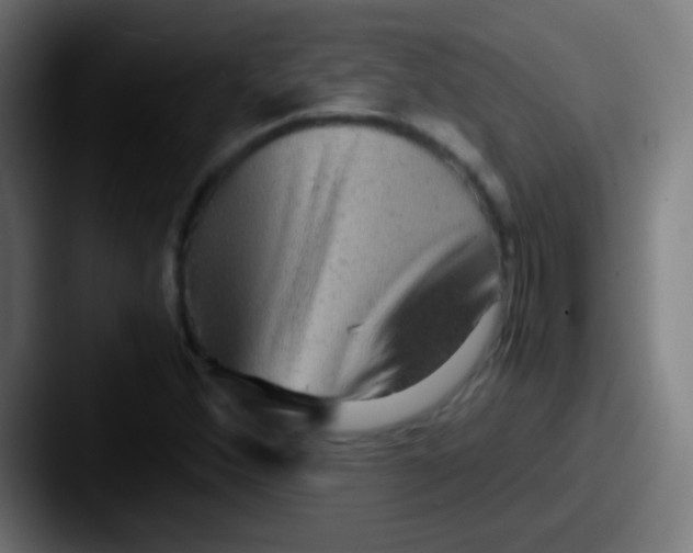 X0000087621356200705181305