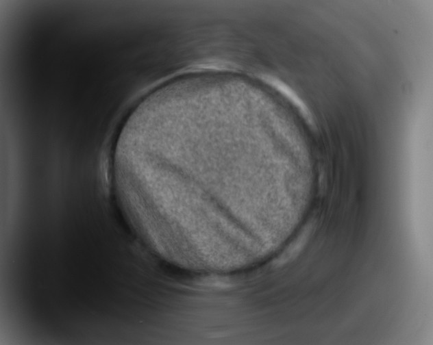 X0000087621358200705181305