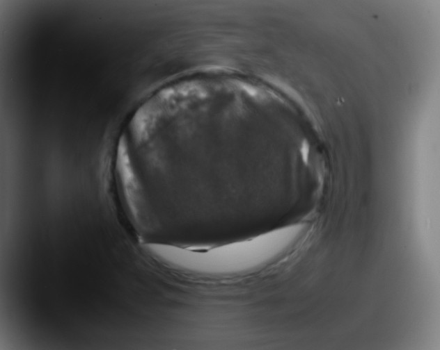 X0000087621359200705181305