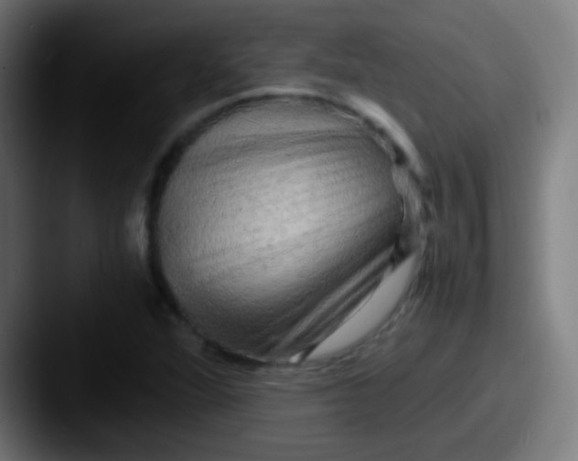 X0000087621360200705181305