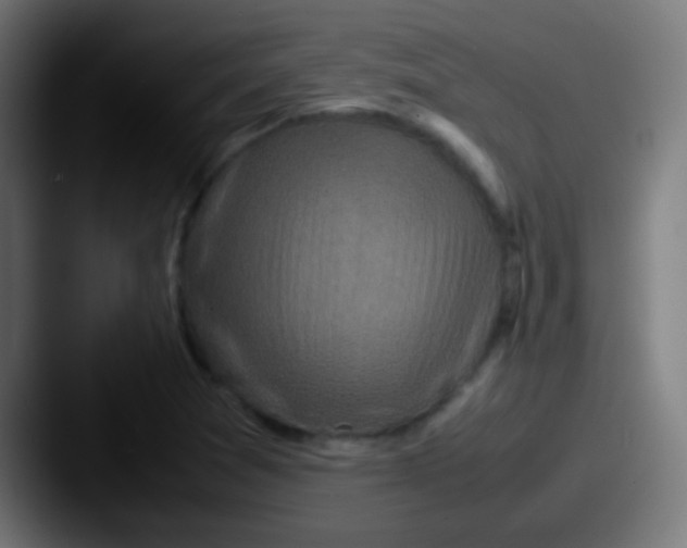 X0000087621361200705181305