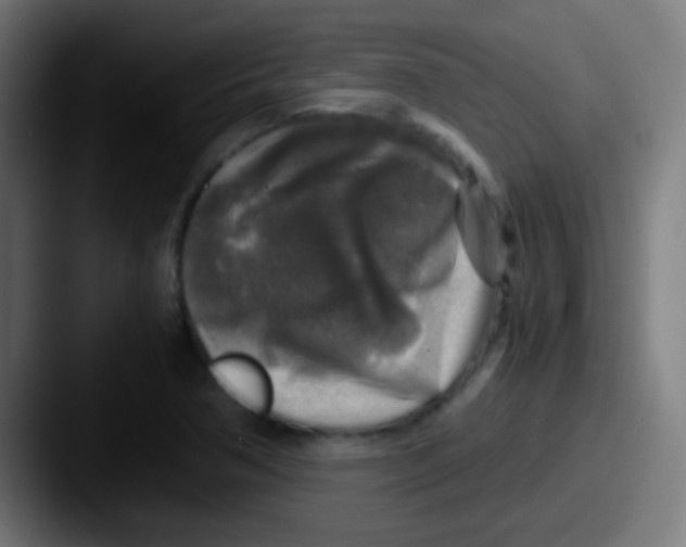 X0000087621362200705181305