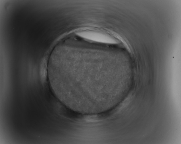 X0000087621363200705181305
