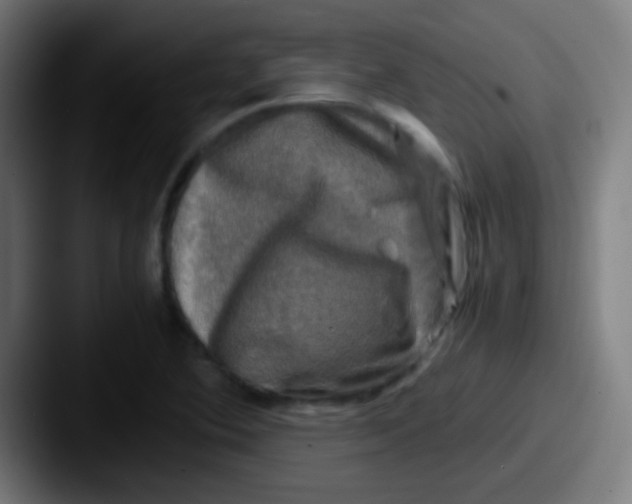 X0000087621364200705181305