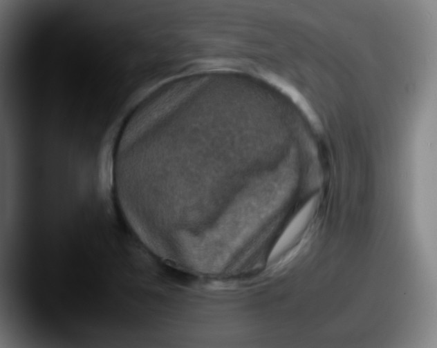 X0000087621365200705181305