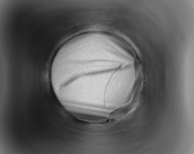 X0000087621366200705181305
