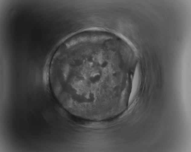 X0000087621367200705181305