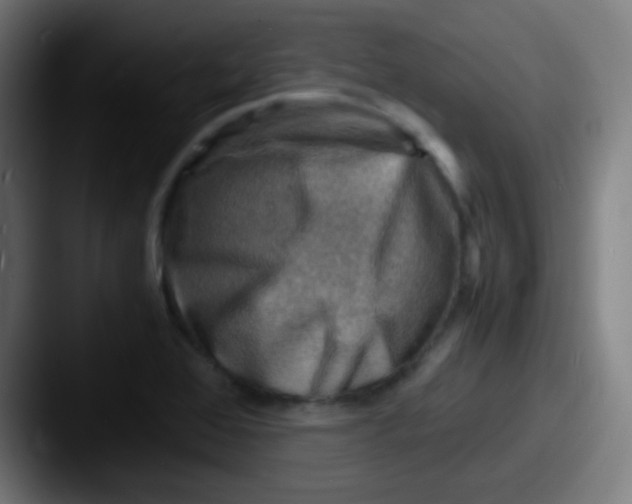 X0000087621368200705181305