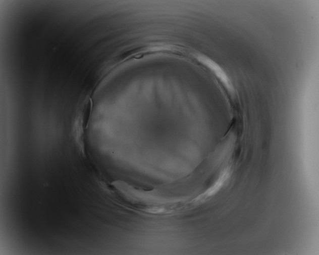 X0000087621369200705181305