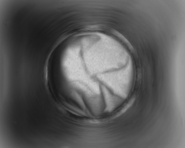 X0000087621370200705181305