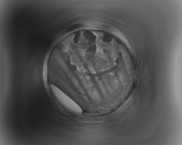 X0000087621371200705181305