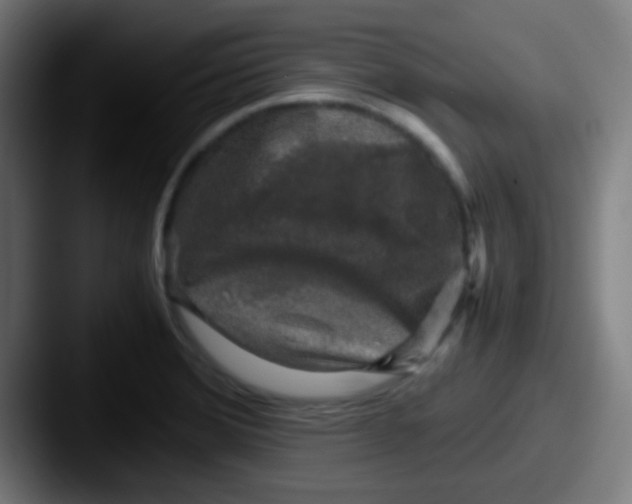 X0000087621372200705181305