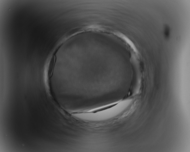 X0000087621373200705181305