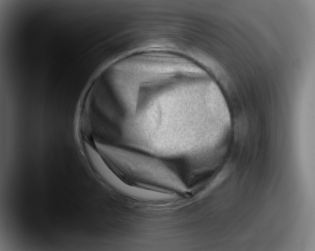 X0000087621374200705181305