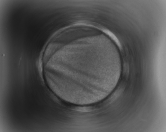 X0000087621376200705181305