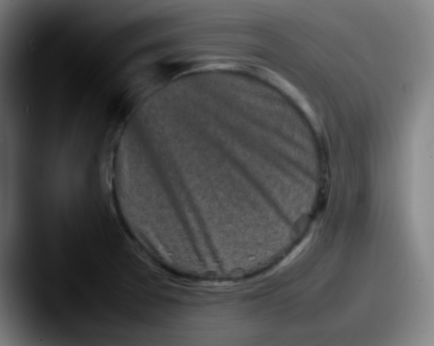 X0000087621377200705181305