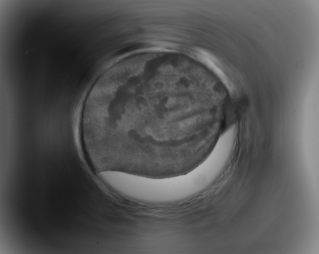 X0000087621379200705181305