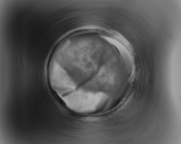 X0000087621380200705181305