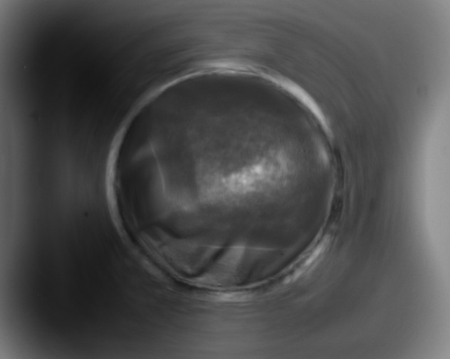 X0000087621381200705181305