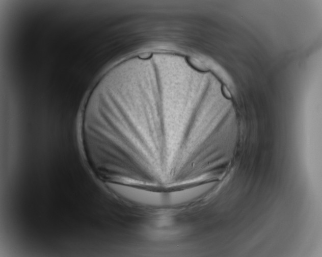 X0000087621382200705181305