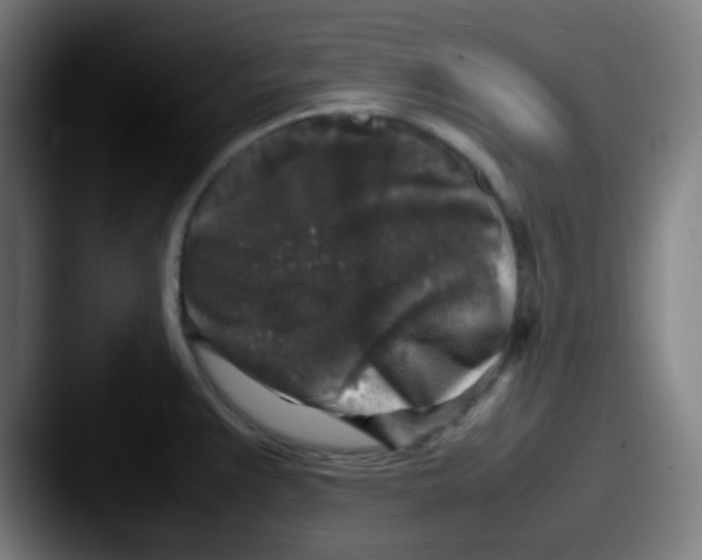 X0000087621383200705181305