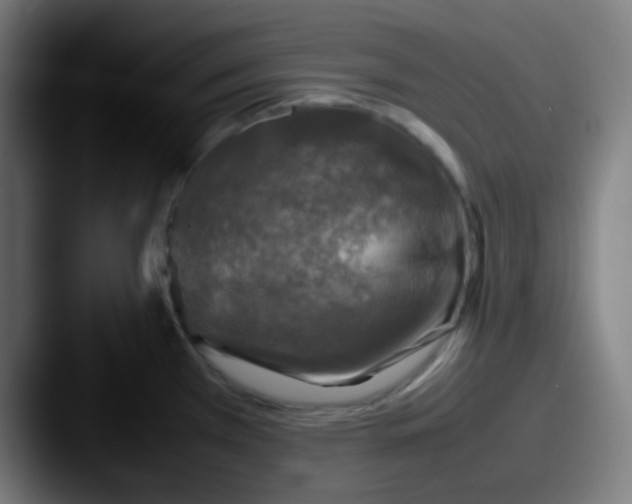 X0000087621385200705181305
