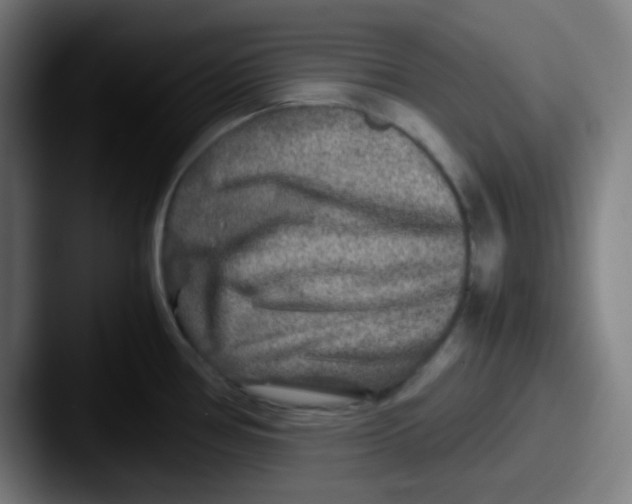 X0000087621386200705181305