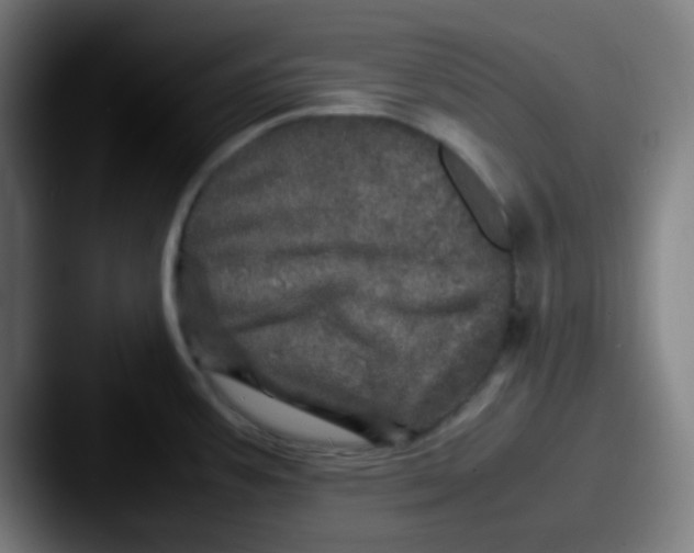 X0000087621387200705181305