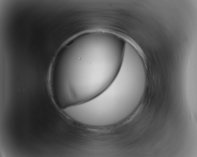 X0000087621388200705181305