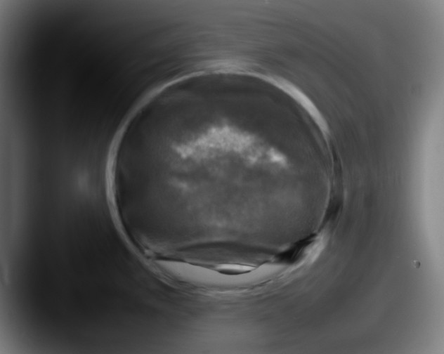 X0000087621389200705181305