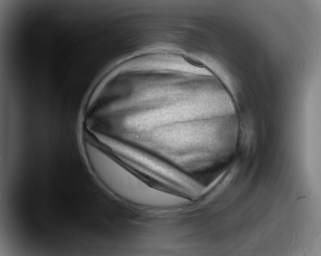 X0000087621390200705181305