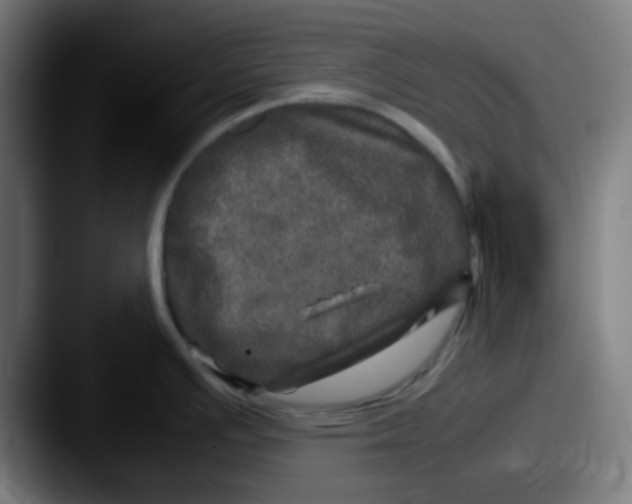 X0000087621391200705181305