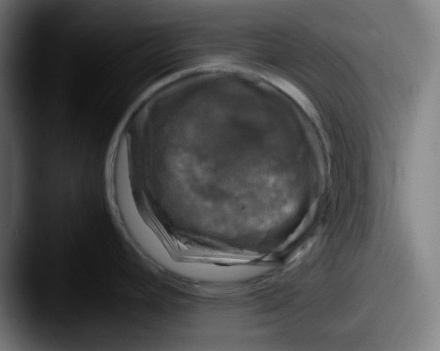 X0000087621392200705181305