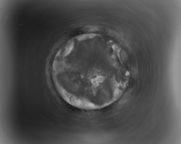 X0000087621393200705181304