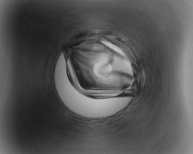 X0000087621394200705181304
