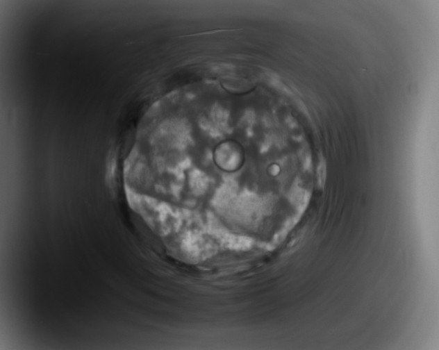 X0000087621395200705181304