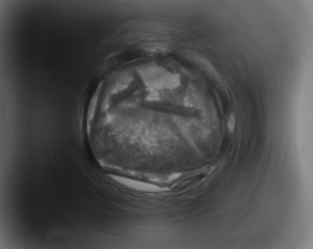 X0000087621396200705181304