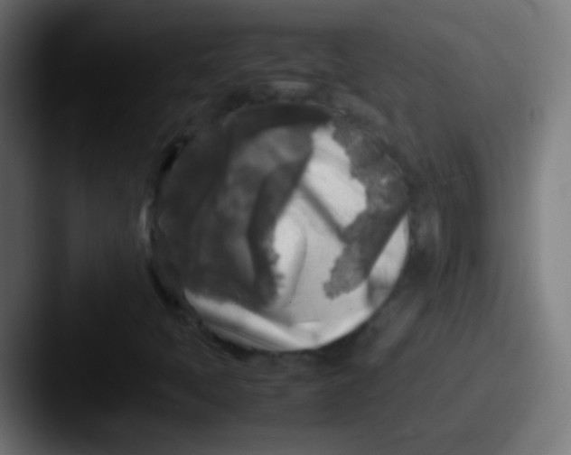 X0000087621397200705181305